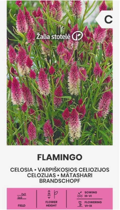 Celozja kłosowa Flamingo odmiana o licznych kwiatostanach nasiona 0,3g Žalia stotelė sklep rajogrodnika